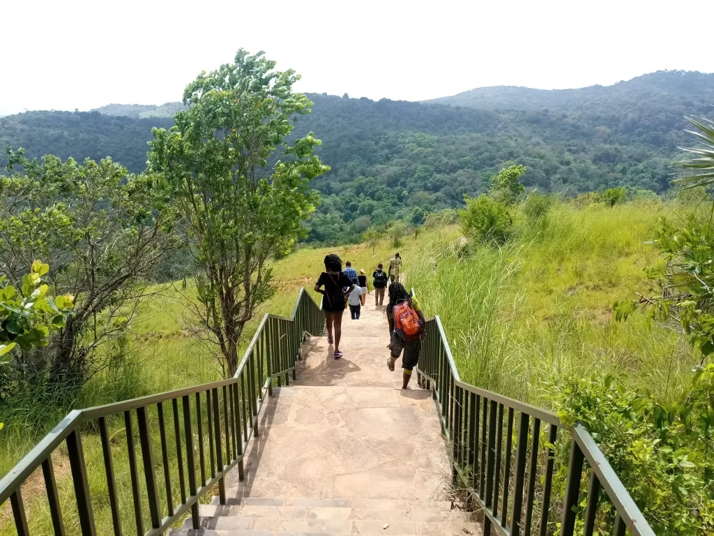 guided nature walk at shimba hills during an affordable shimba hills tour by Belli Asili voyages the best tour operator in Kenya for coastal adventures.