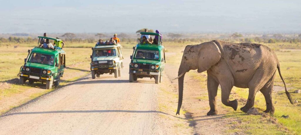 luxury safari kenya in Amboseli National Park by Belli Asili Voyages