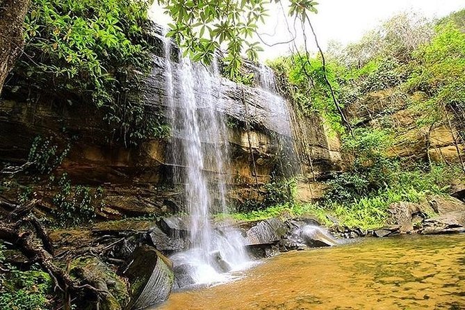 Shimba Hills National Reserve as seen by guests having an amazing time of their life during a one day shimba hills tour by Belli Asili Voyages the Best Tour Operator for coastal adventures.