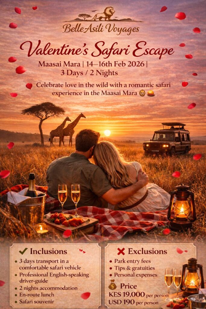 Bellie Asili Voyages Valentine's Safari Escape and the best deals for Valentines 2026