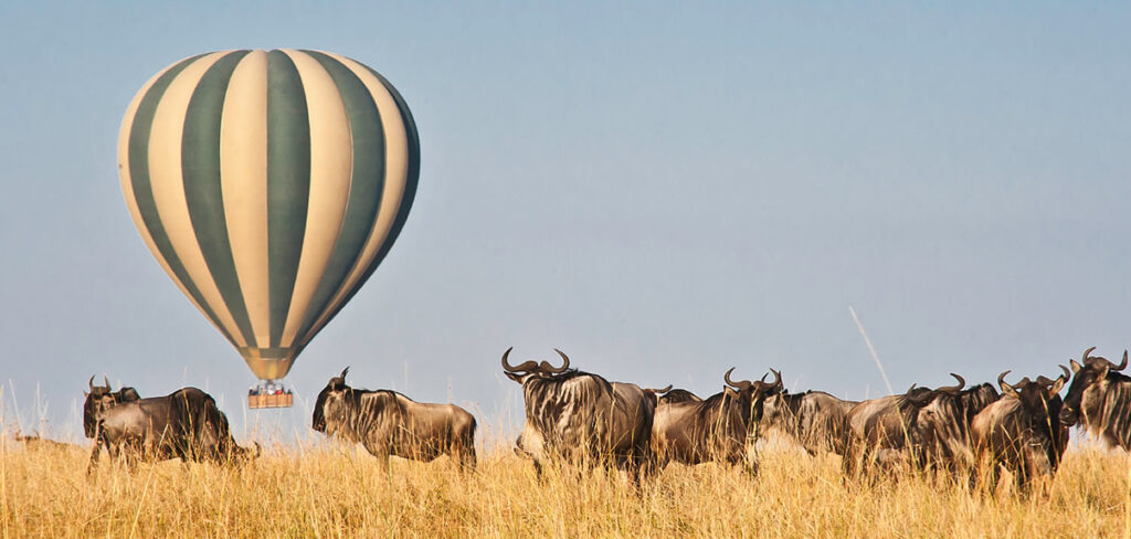 Great Wildebeest Migration as seen on a  Masai Mara group Joining safaris with Belli Asili Voyages