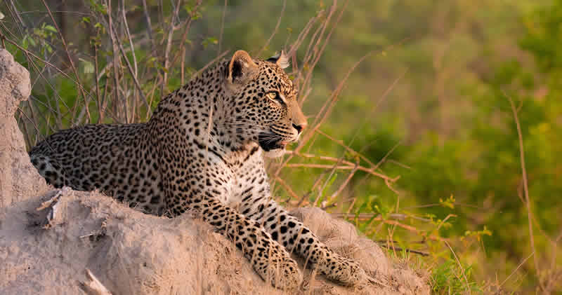 Top 5 Beautiful and Interesting Places to Visit in Kenya 2026