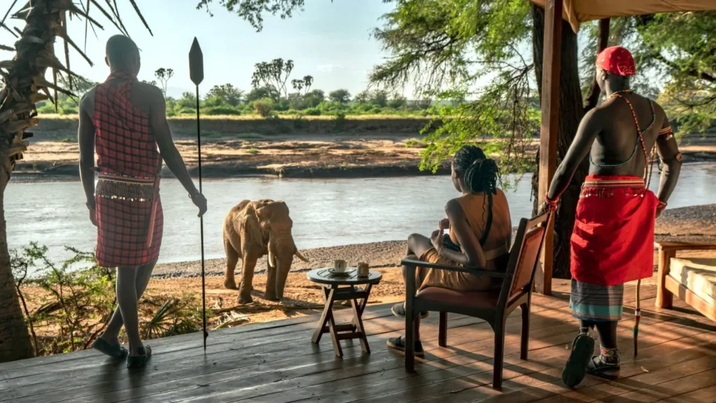 The best Experience for couples and honeymooners who want to have the best experience for a Magical Kenya safari