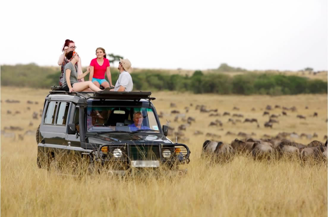 Private Masai Mara Safari & Hot Air Balloon Guide: The Most Complete Kenya Safari Experience in 2026